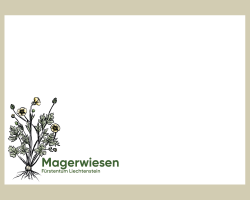 Panorama - Magerwiesen