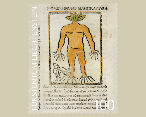 Spiegel der Natur