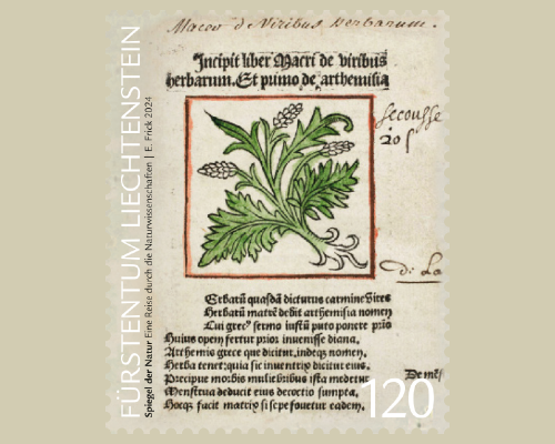 Spiegel der Natur