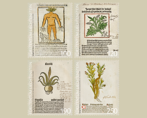 Spiegel der Natur