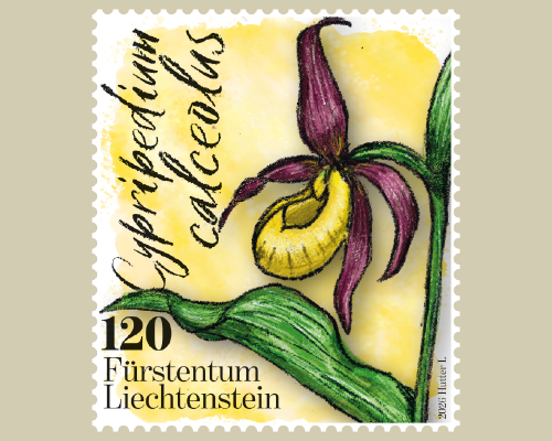 Orchideen