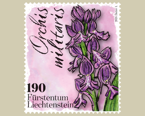 Orchideen