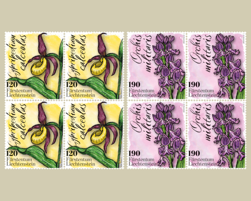 Orchideen