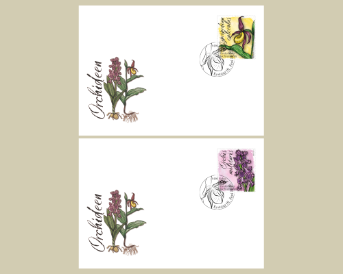 Orchideen