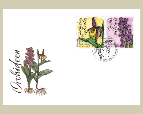 Orchideen