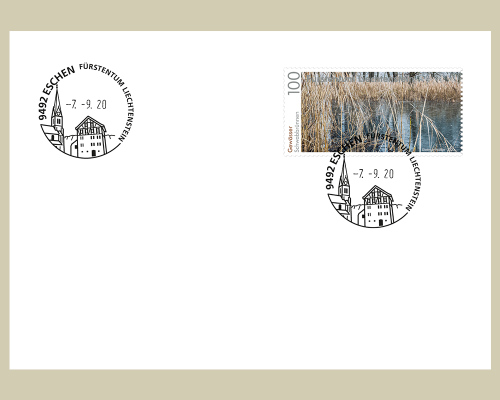 Special Cover - Substitute Date stamp Es