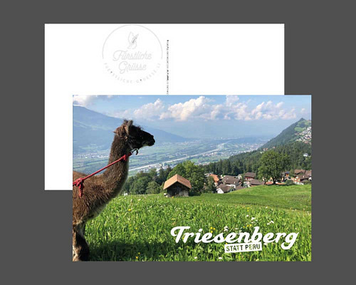 Ansichtskarte - Liechtenstein - Triesenb