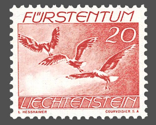 Motifs d'oiseaux