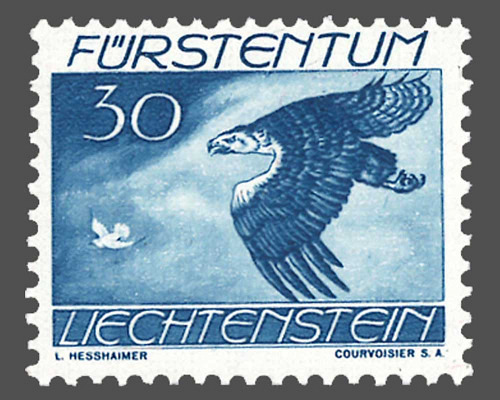 Bird motifs