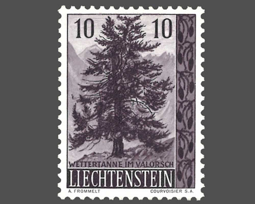 Native trees and shrubs - I
