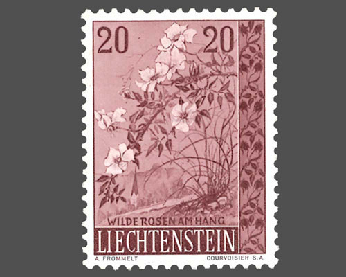 Native trees and shrubs - I