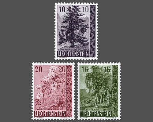 Native trees and shrubs - I