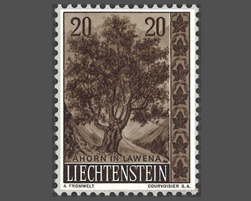 Native trees and shrubs - II
