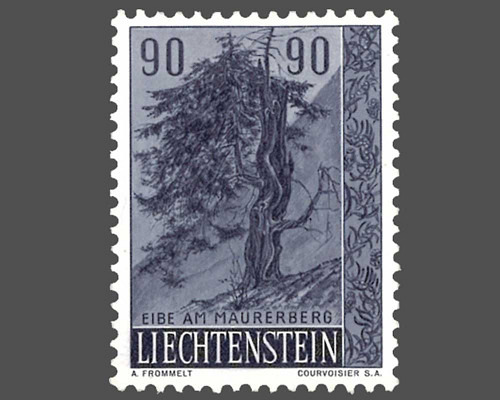 Heimische Bäume und Sträucher - II