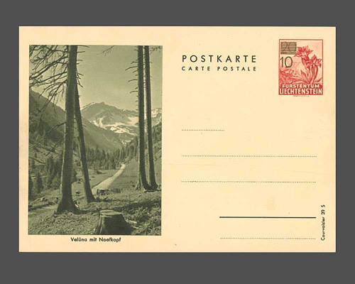 Postcard: Gentian