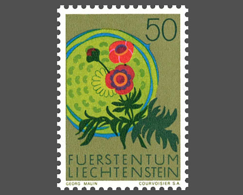 European nature conservation year - Flow