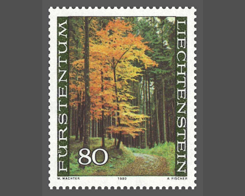 Der Wald in den vier Jahreszeiten