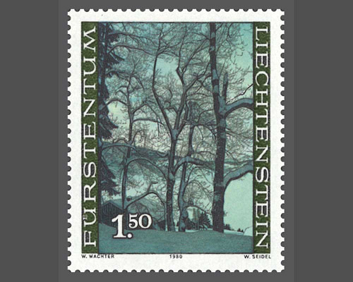 Der Wald in den vier Jahreszeiten