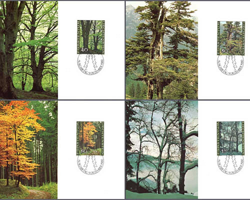 Der Wald in den vier Jahreszeiten