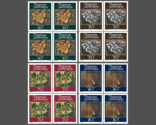 Mosses and lichens