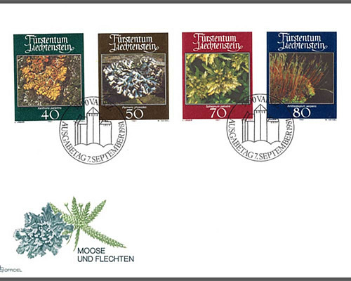 Mosses and lichens