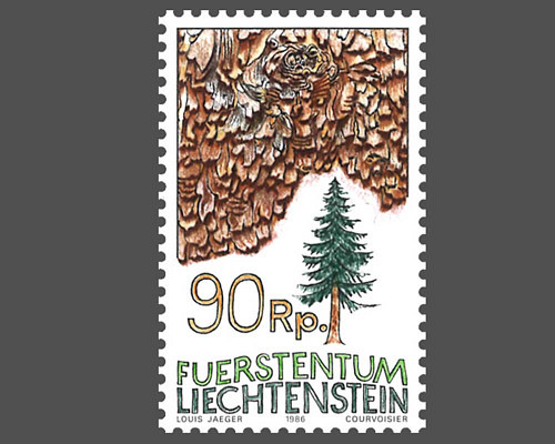 Baumrinden