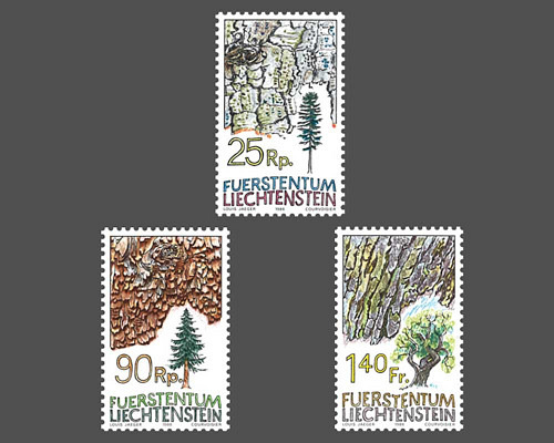 Baumrinden