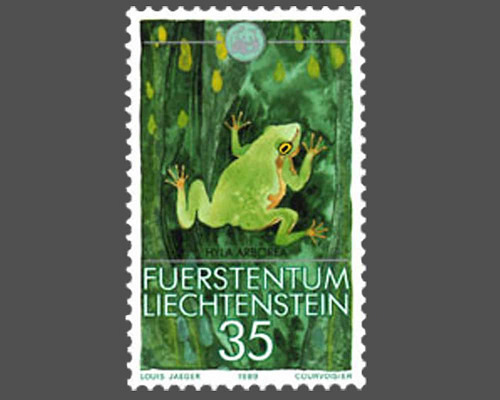 Kleinfauna - WWF