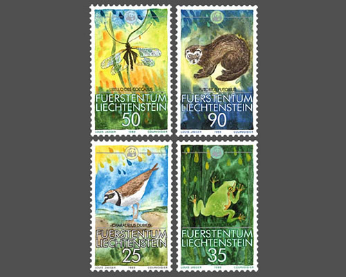 Kleinfauna - WWF
