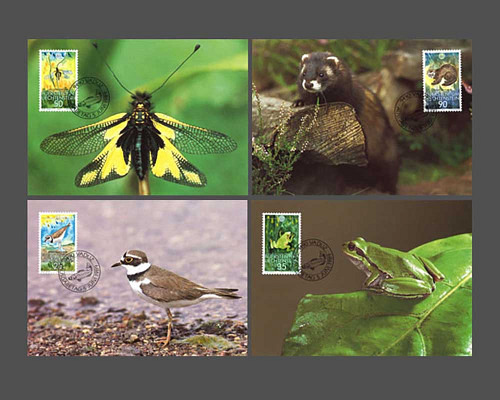 Kleinfauna - WWF
