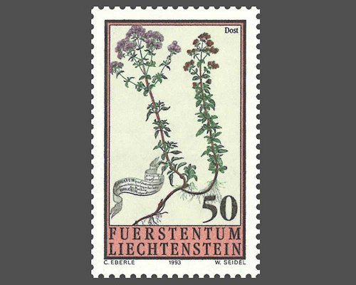 Fleurs des prés