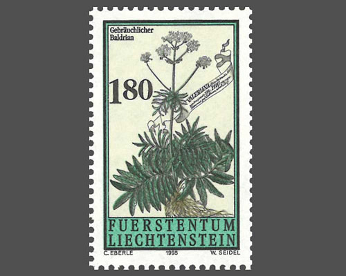 Plantes médicinales