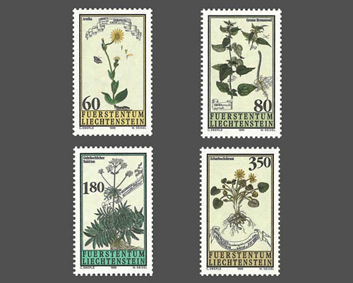 Plantes médicinales