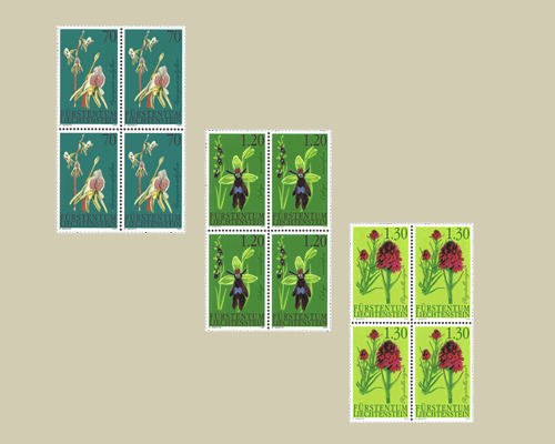 Orchidées - I