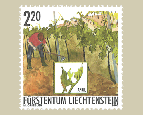 L'année du vigneron: travail du vigneron