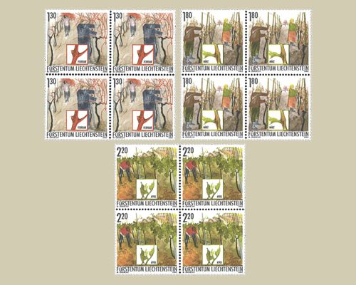 L'année du vigneron: travail du vigneron