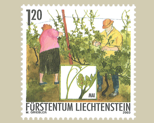 L'année du vigneron: travail du vigneron