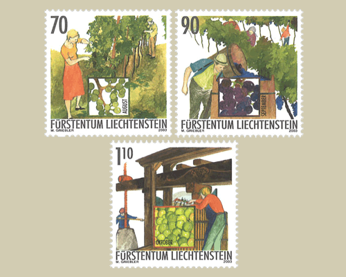 L'année du vigneron: travail du vigneron