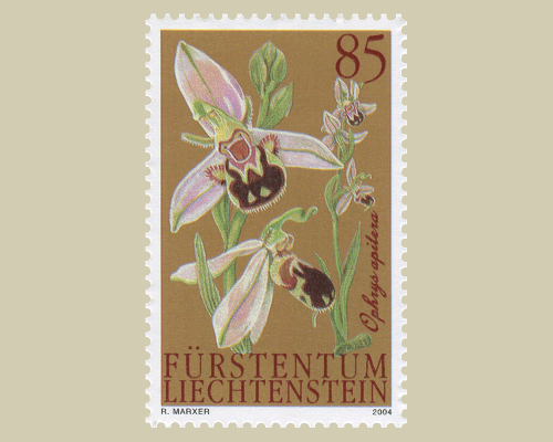 Orchids - II