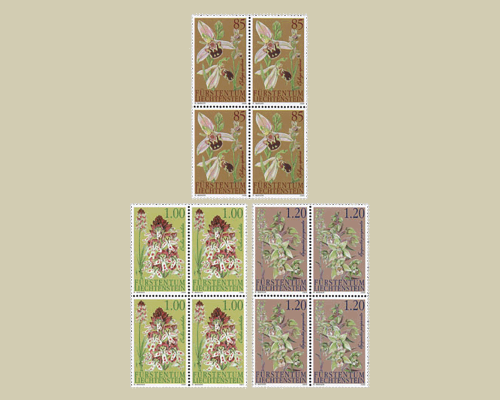Orchids - II