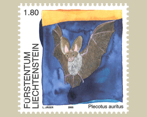 Bats
