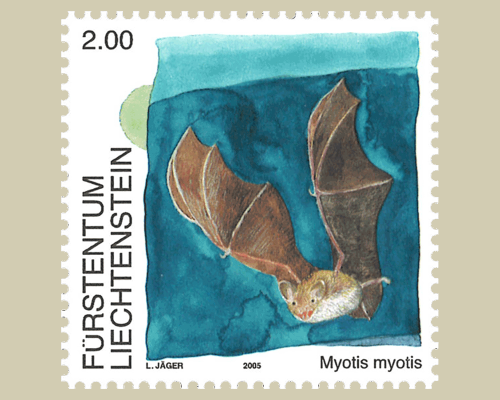 Fledermäuse