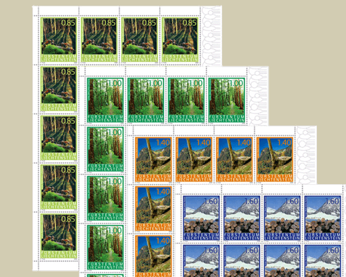 The Forest and its benefits