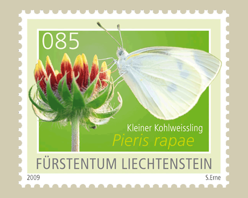 Schmetterlinge - I