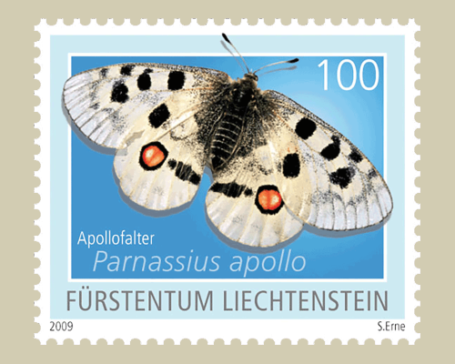 Schmetterlinge - I
