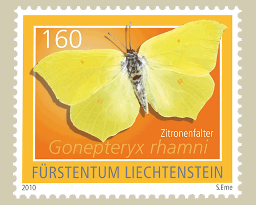 Schmetterlinge - II