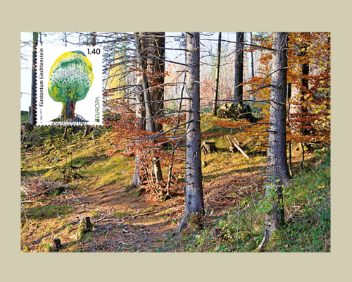 Europa - Forest