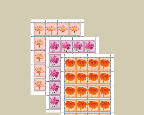 Gartenblumen - I