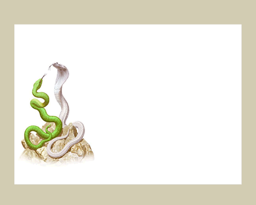 Signes du zodiaque chinois : serpent