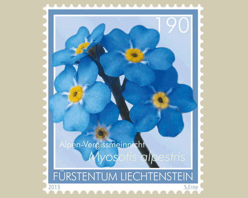 Alpenblumen